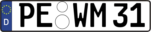 PE-WM31