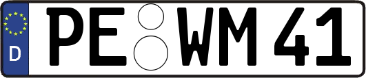 PE-WM41