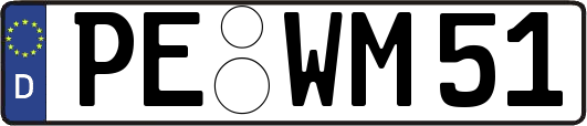 PE-WM51