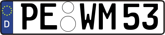 PE-WM53