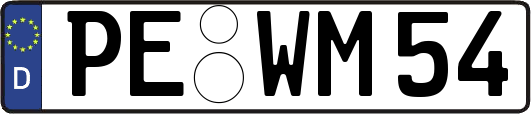 PE-WM54