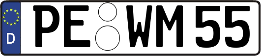 PE-WM55