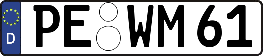 PE-WM61