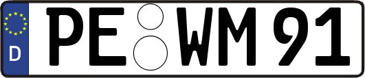 PE-WM91