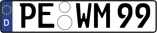PE-WM99
