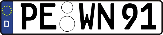 PE-WN91