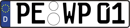 PE-WP01