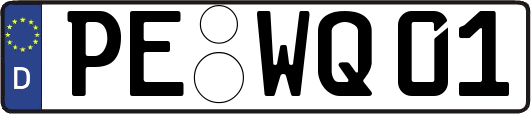 PE-WQ01