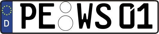 PE-WS01