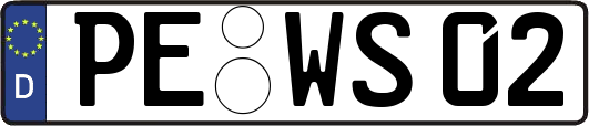 PE-WS02
