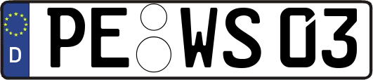 PE-WS03