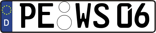 PE-WS06