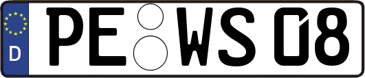PE-WS08