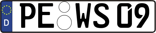PE-WS09