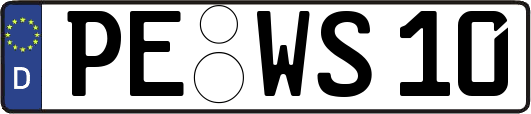 PE-WS10