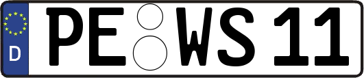 PE-WS11
