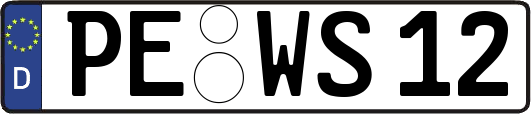PE-WS12