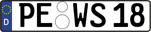 PE-WS18