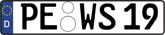 PE-WS19