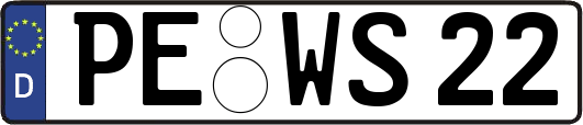 PE-WS22