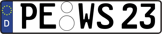 PE-WS23