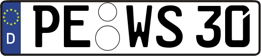 PE-WS30