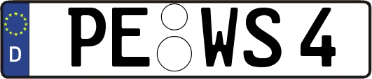 PE-WS4