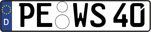 PE-WS40