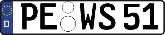 PE-WS51