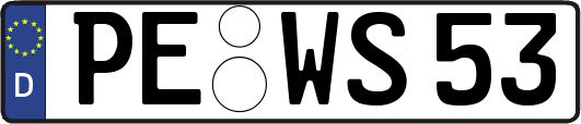 PE-WS53