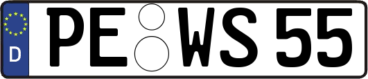 PE-WS55