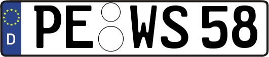 PE-WS58