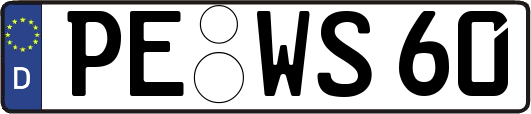 PE-WS60
