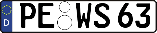 PE-WS63