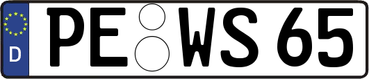 PE-WS65