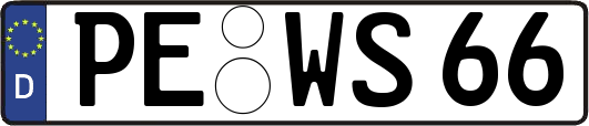 PE-WS66