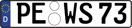 PE-WS73