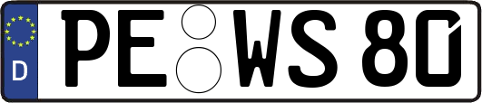 PE-WS80