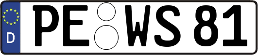 PE-WS81