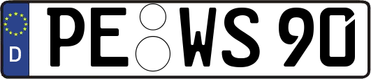 PE-WS90