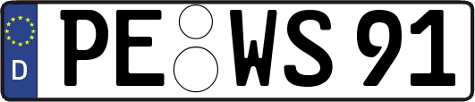 PE-WS91