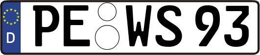 PE-WS93