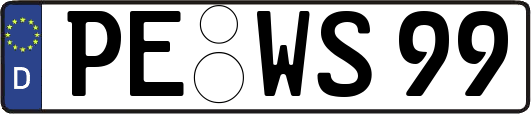 PE-WS99