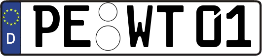 PE-WT01