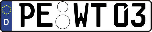PE-WT03