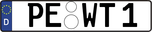 PE-WT1