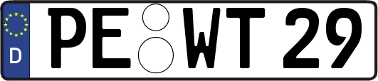 PE-WT29