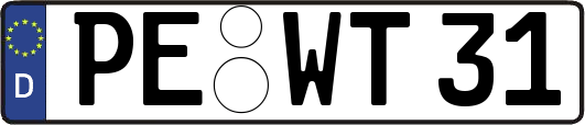 PE-WT31