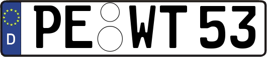 PE-WT53