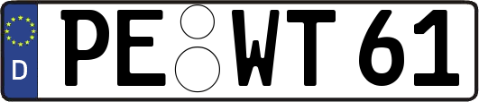 PE-WT61